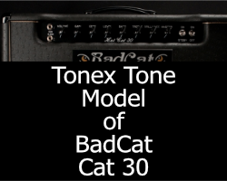 Bad Cat Hot Cat 30 Tonex Tone Model - FREE