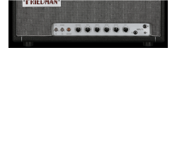 Friedman Dirty Shirley Clean Tonex Tone Model - FREE